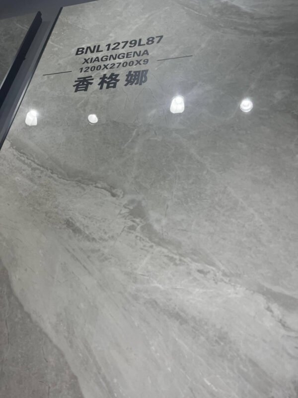 BNL1279L87 - 图片 4