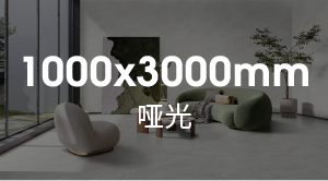 1000X3000mm